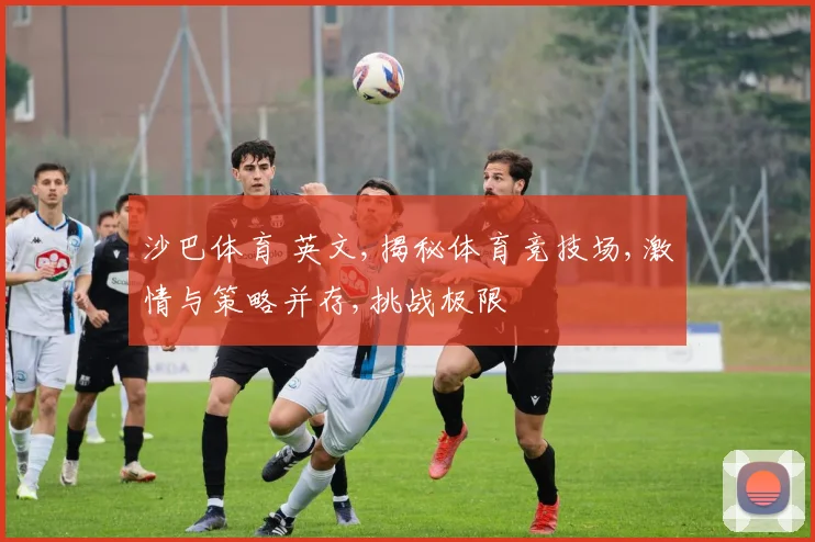 沙巴体育 英文,揭秘体育竞技场,激情与策略并存,挑战极限