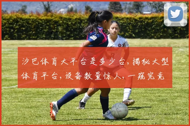 沙巴体育大平台是多少台,揭秘大型体育平台,设备数量惊人,一窥究竟