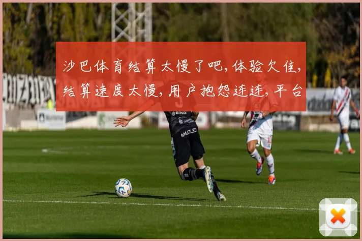 沙巴体育结算太慢了吧,体验欠佳,结算速度太慢,用户抱怨连连,平台如何改进